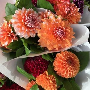 Meet your Posher, Carrie